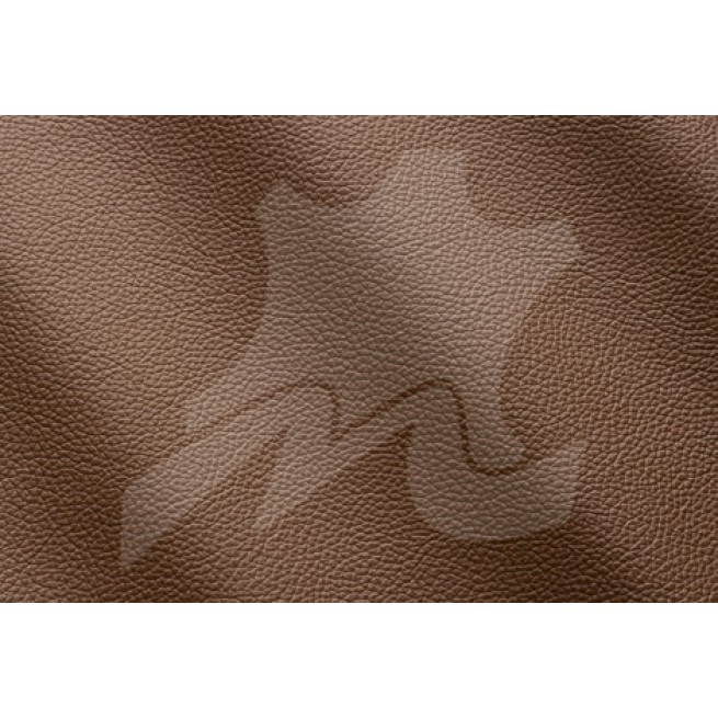 Aligo Group фото